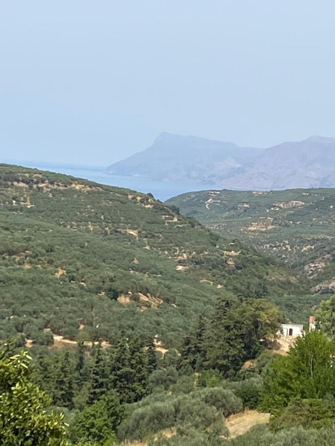 Αρχοντικό Στα Τοπόλια Villa Kalathenai Bagian luar foto